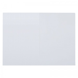 晨光A4经济型透明单片夹ADM94894（整包10个起售）