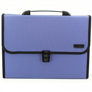 晨光 风琴包蓝AWT90959A（A4、12分格）