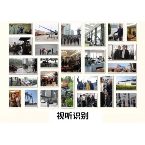 视听识别（意向客户请联系公司客服（电话：0311—89688886  VX/QQ：838008156））