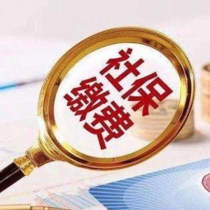 社保代缴（社保代缴 五险一金咨询 开户申报，核基，工伤生育险报销；医疗保险补缴；）
