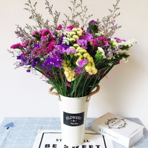 快惠 勿忘我满天星-干花花束/混搭插花