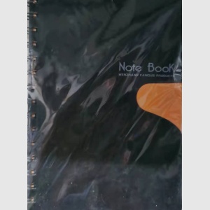 广奔 线圈本2559-100（A5、100页）