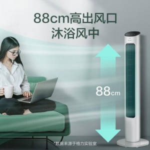 格力（GREE）遥控电风扇(FL-08X61Bg) 节能低噪塔式电扇