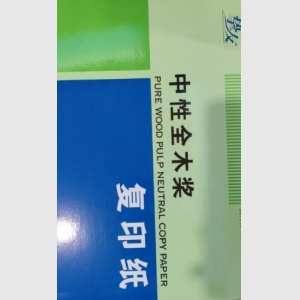 挚友 B5纸打印纸复印纸（B5、70g、500张/包、8包/箱）