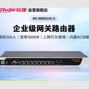 锐捷（Ruijie） RG-NBR6205-E 企业网关路由器 内置AC 带机500