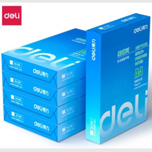 得力（Deli）复印纸 莱茵河7419（80克、A4、5包/箱）